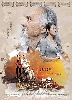 Poster of The Song of Cotton