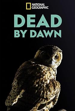 Poster of Dead By Dawn