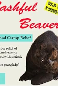 Primary photo for Bashful Beaver
