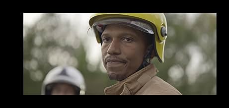 पोस्टर देखें