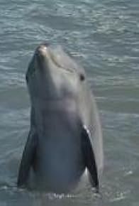 Primary photo for Flipper's Underwater Museum