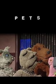 Primary photo for Pets