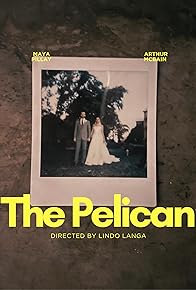 Primary photo for The Pelican