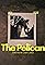 The Pelican's primary photo