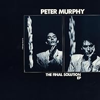 Primary photo for Peter Murphy: Final Solution