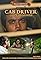 Cab Driver's primary photo