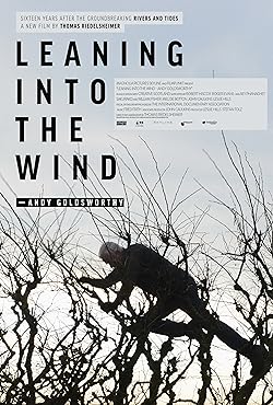 Poster of Leaning Into the Wind: Andy Goldsworthy