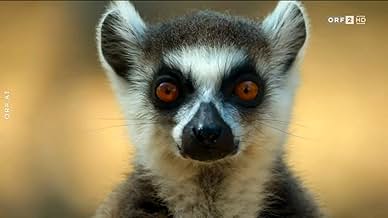 पोस्टर देखें