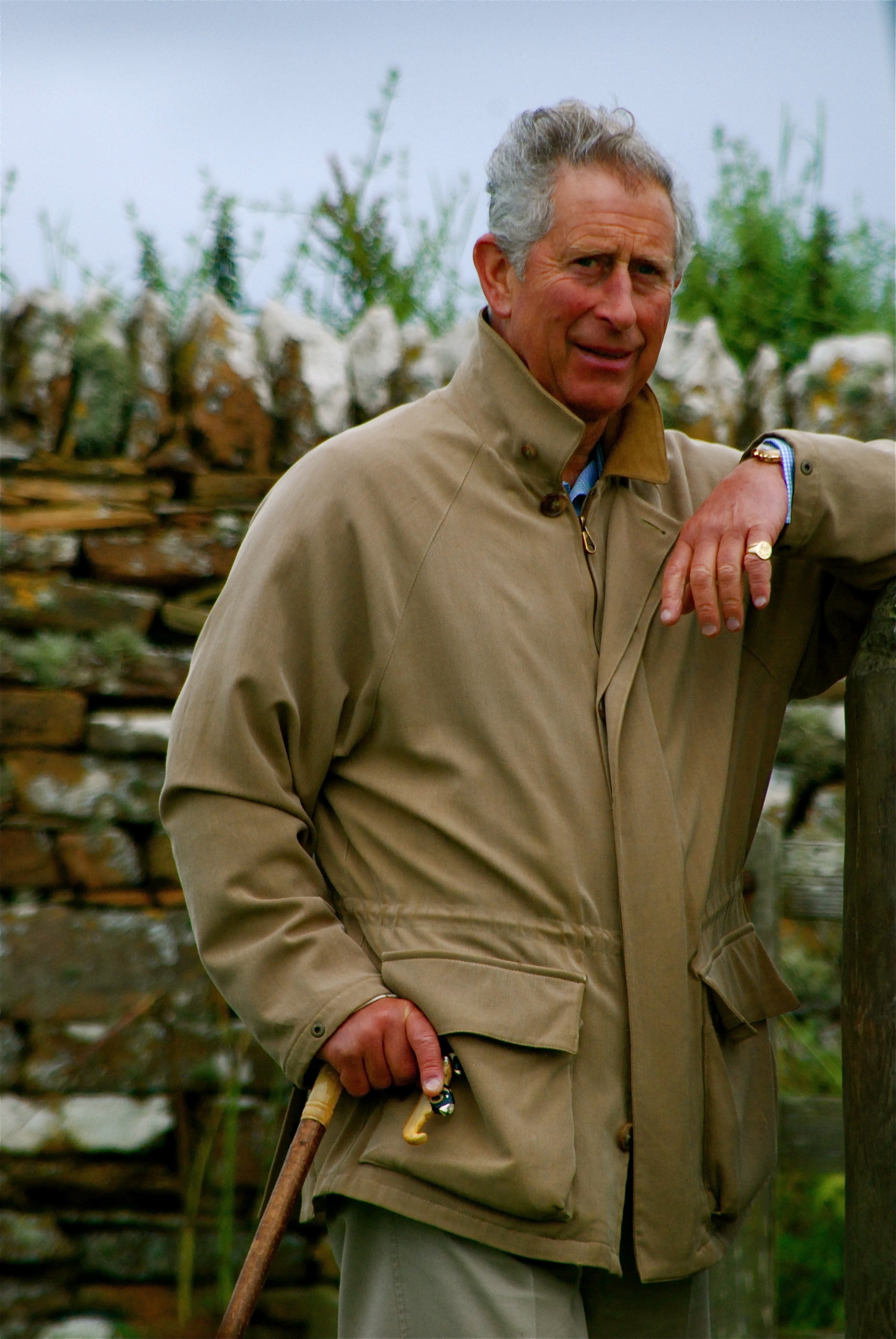 Harmony: A New Way of Looking at Our World