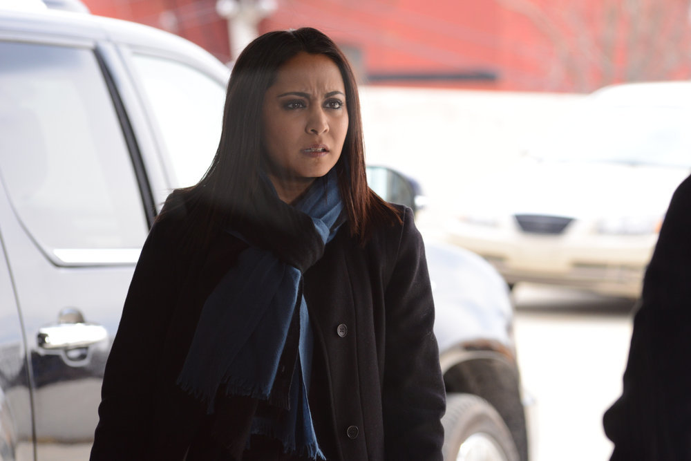 Parminder Nagra in The Blacklist (2013)