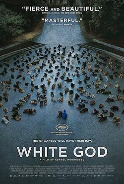 Poster of White God