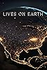 Primary photo for Lives on Earth