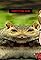 Committing Sins in Squirrel Stapler's primary photo