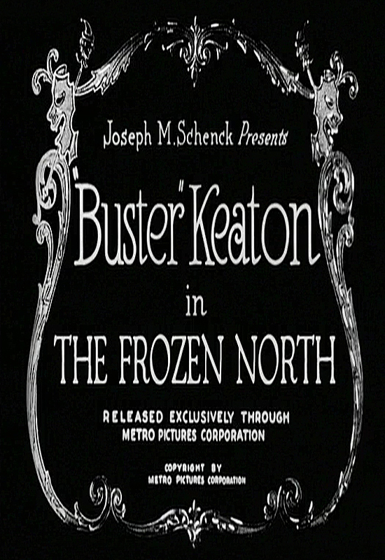 Poster of The Frozen North