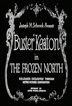 Poster of The Frozen North