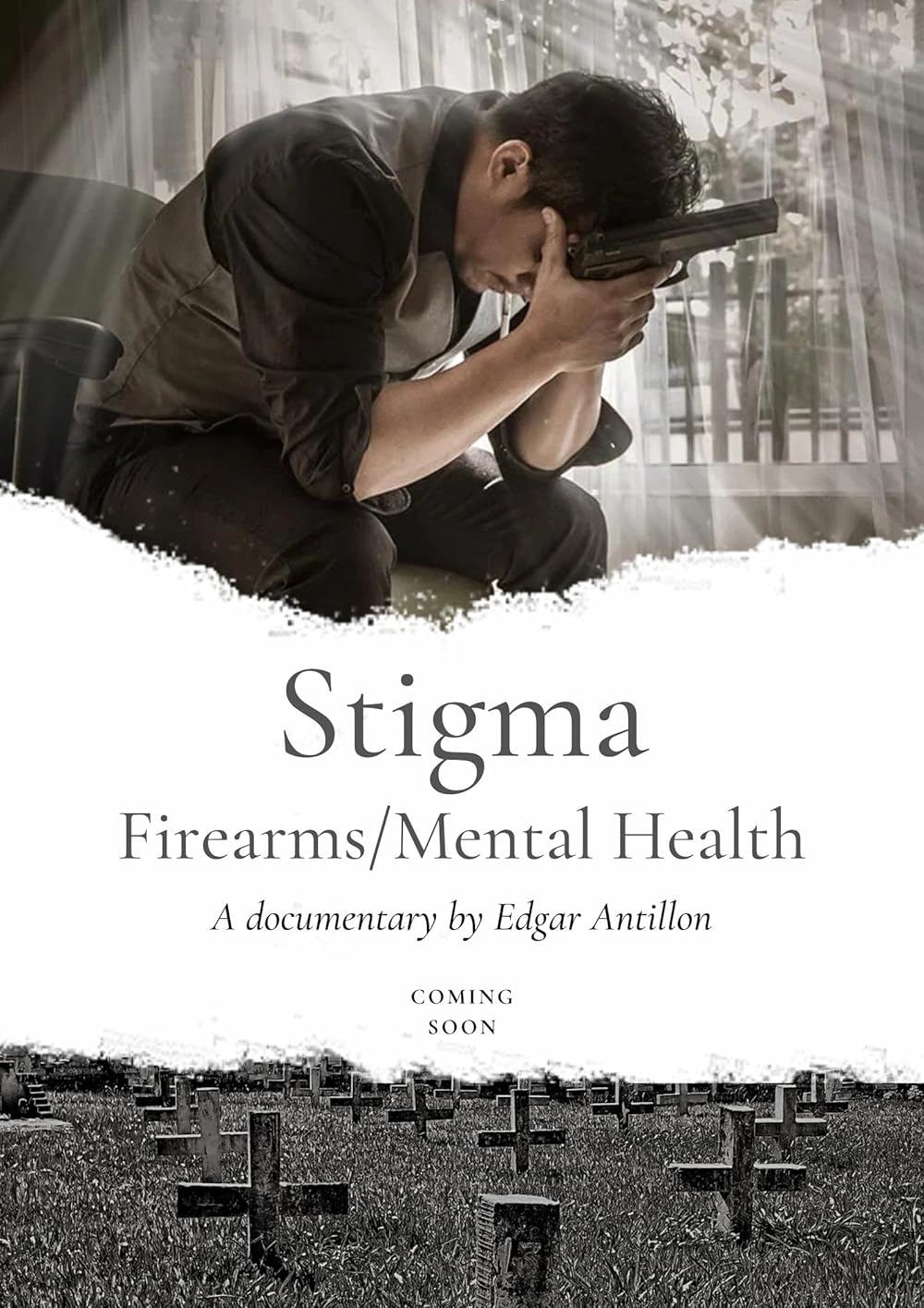 Stigma Firearms/Mental Health Plot IMDb