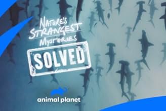 पोस्टर देखें