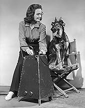 पोस्टर देखें