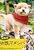 Primary photo for Mameshiba Cubbish Puppy Primary photo for Mameshiba Cubbish Puppy