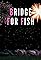 Bridge for Fish's primary photo