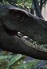Primary photo for Secrets of the Dinosaurs