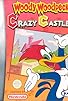 Primary photo for Woody Woodpecker in Crazy Castle 5 Primary photo for Woody Woodpecker in Crazy Castle 5
