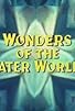 Primary photo for Wonders of the Water Worlds