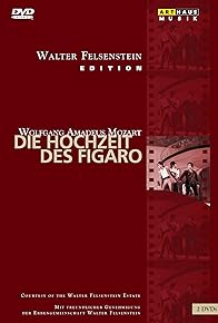 Primary photo for Die Hochzeit des Figaro