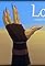 Lost's primary photo