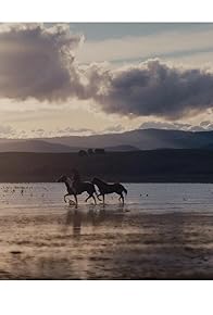 Primary photo for High Country