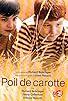 Primary photo for Poil de carotte Primary photo for Poil de carotte