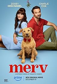 Poster Merv (2025)