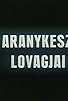 Primary photo for Az aranykesztyü lovagjai Primary photo for Az aranykesztyü lovagjai
