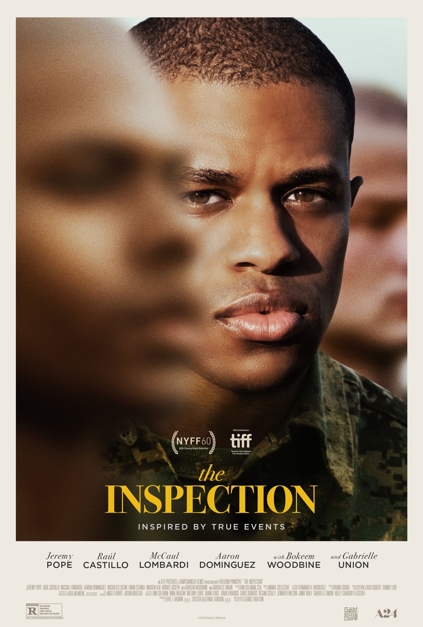 Poster of The Inspection