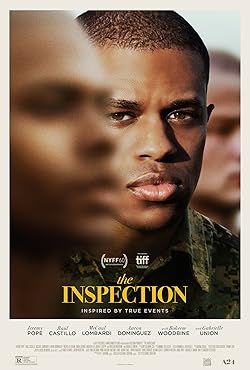 Poster of The Inspection