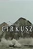 Primary photo for Cirkusz Primary photo for Cirkusz