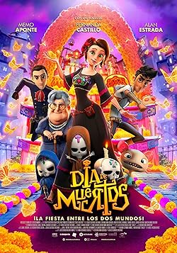 Poster of Salma's Big Wish