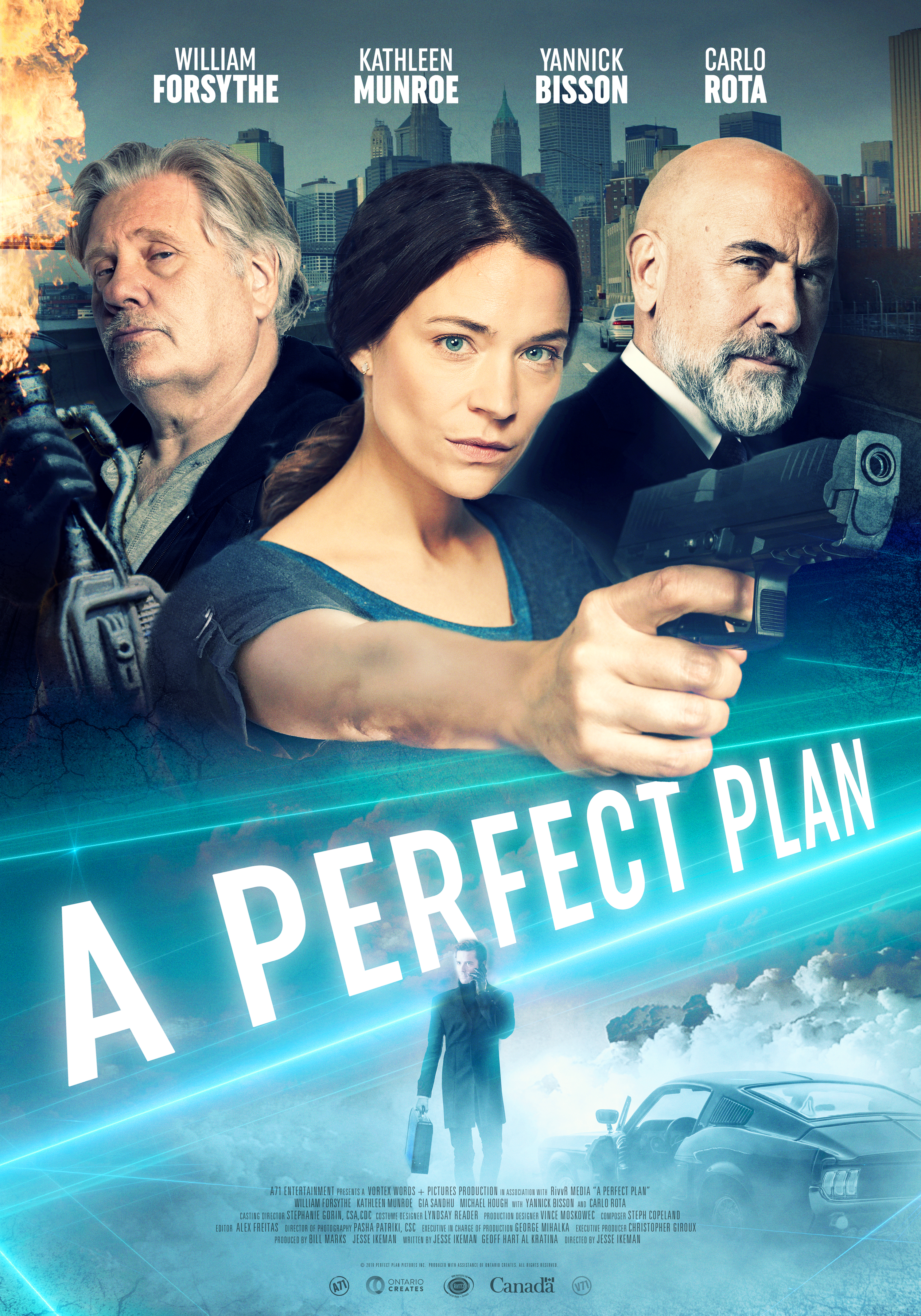 Poster of A Perfect Plan