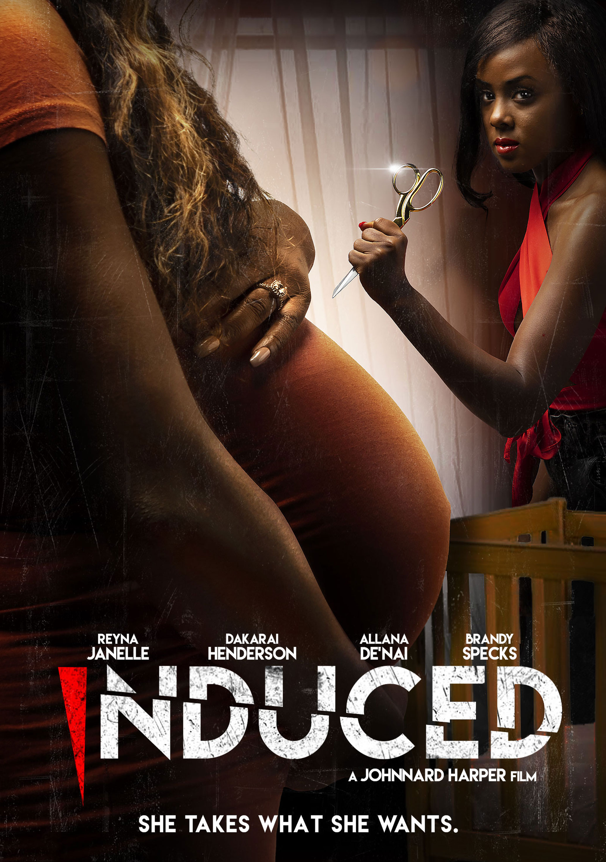 Poster of Induced