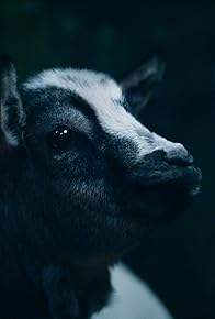 Primary photo for Otkazat'sya