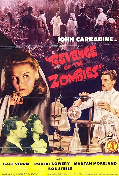 Primary photo for Revenge of the Zombies Primary photo for Revenge of the Zombies