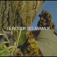 Primary photo for Nicolet: Le retour des animaux