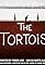 The Tortoise's primary photo