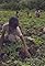 The Bitter Harvest of Negros / Peru's Liberation Theology / Front Line Police's primary photo