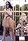 The Couple in the Cage's primary photo
