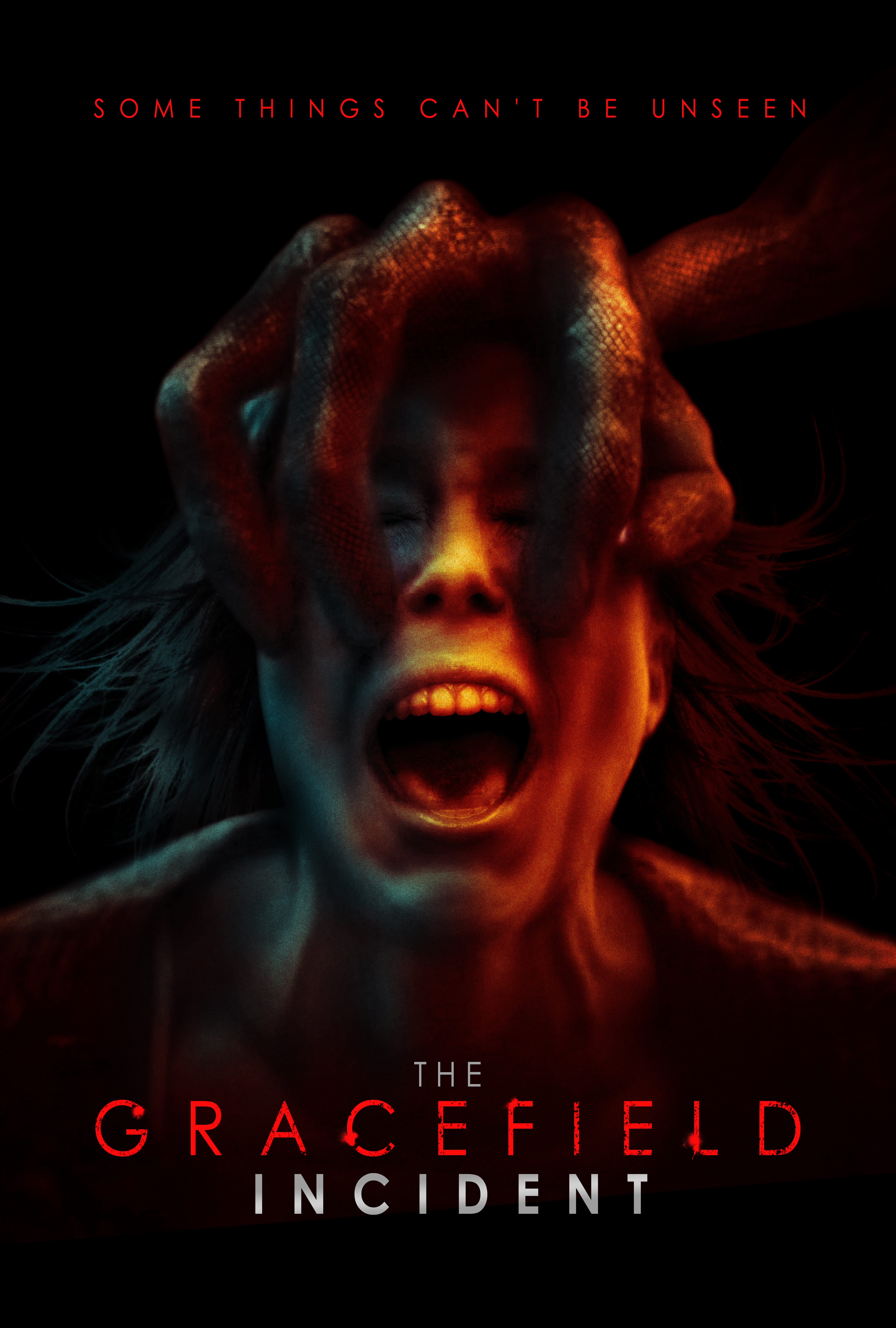 Poster of The Gracefield Incident