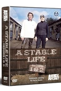 Primary photo for A Stable Life