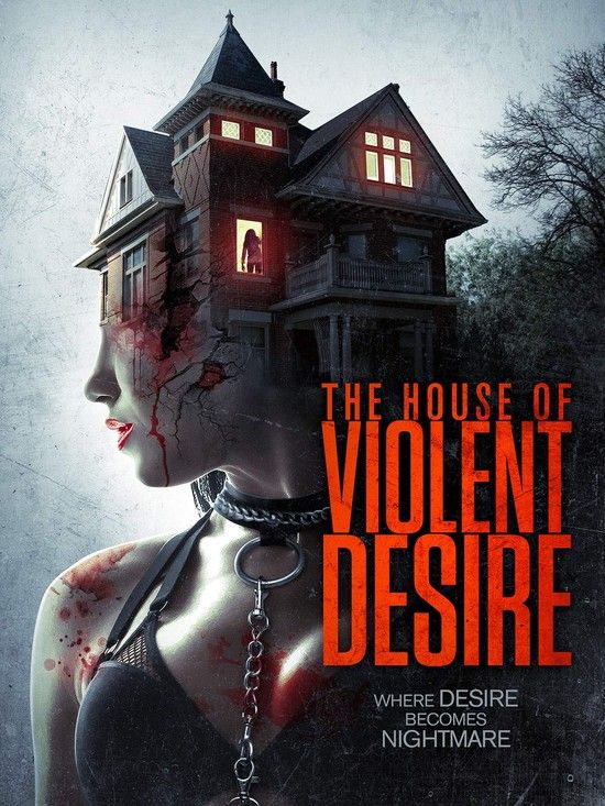 Poster of The House of Violent Desire