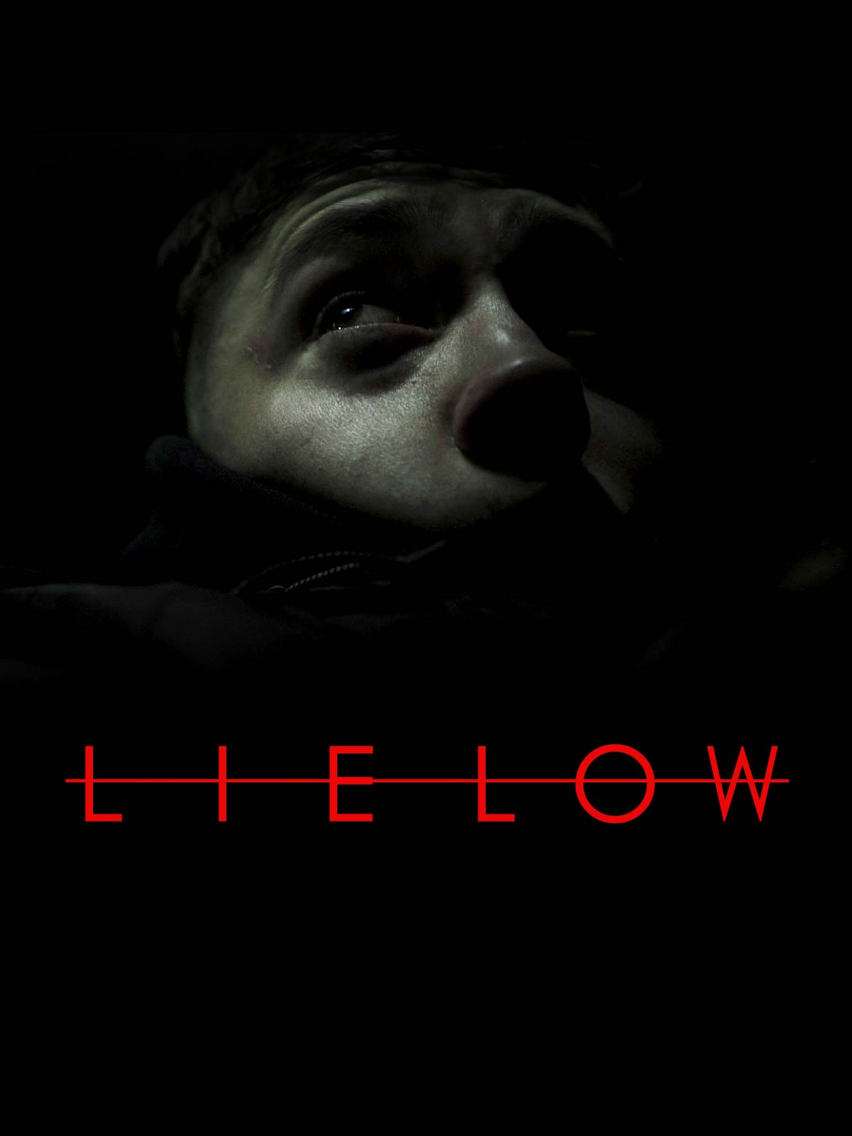 Poster of Lie Low
