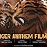 Primary photo for Tiger Anthem Film Primary photo for Tiger Anthem Film